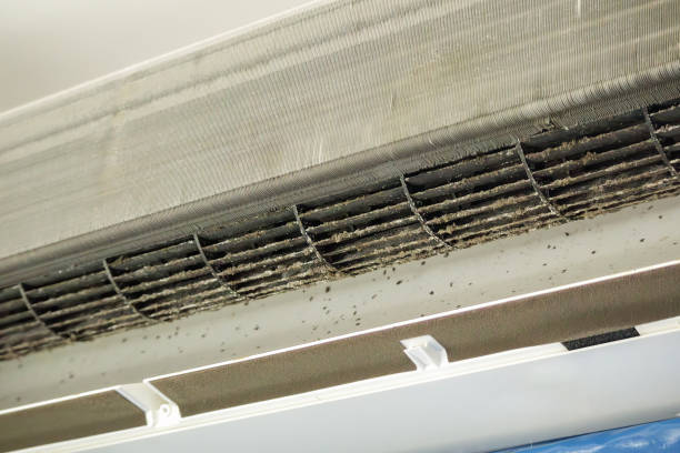 Best Ventilation Cleaning Services  in Forest City, FL